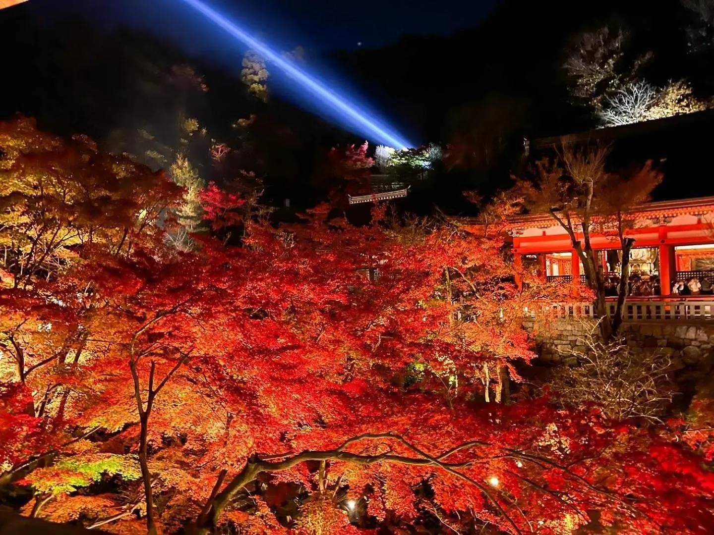 Hotel Rinn Gion Hanatouro Kyoto